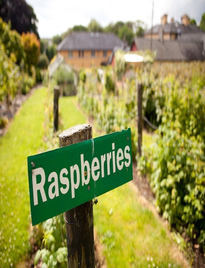 Sitemap Mustard Seed